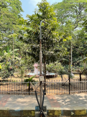 Gill Nagar Park