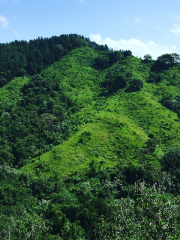 Parque Nacional Loma Miranda