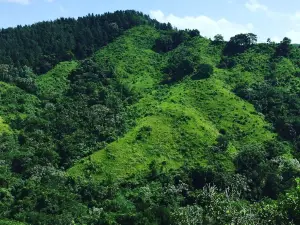 Parque Nacional Loma Miranda