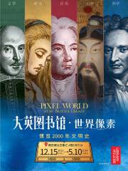 【南京】大英圖書館·世界像素（博覽2000年文明史）