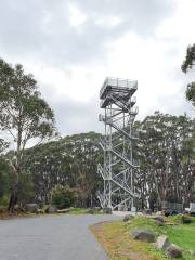 Mount Donna Buang observation tower