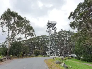 Mount Donna Buang Observation Tower