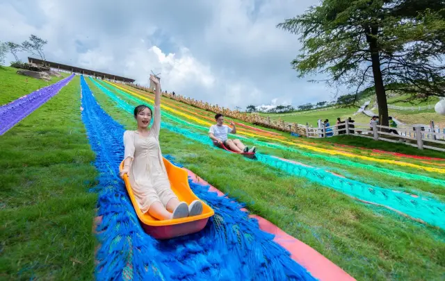 Anji Grass Skiing