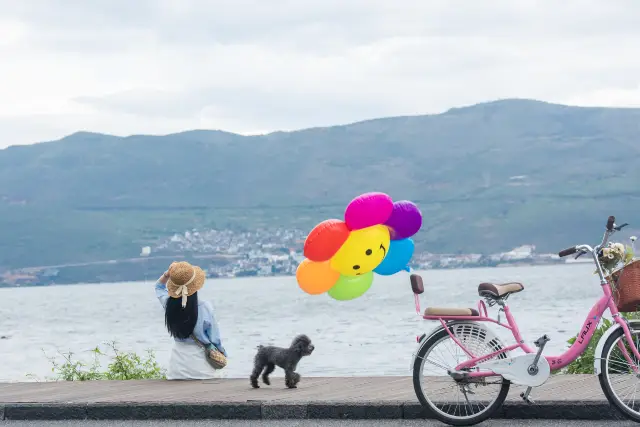 Dali Cycling