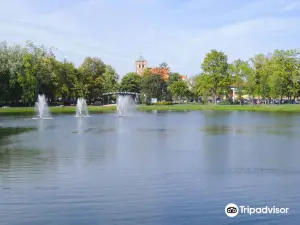 Park Tysiaclecia