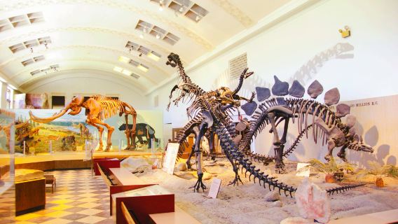 Salt Lake City Dataran Kuil + Bangunan Capitol Negeri Utah + Muzium Sejarah Semula Jadi Utah lawatan sehari