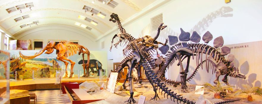 Natural History Museum of Utah