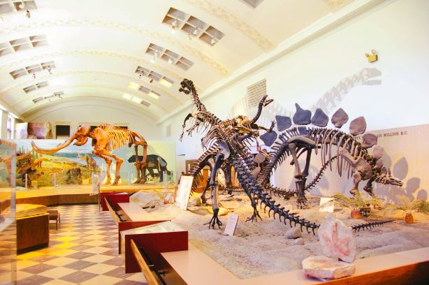 Natural History Museum of Utah