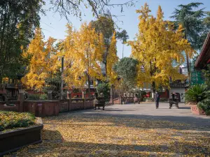Qing Yang Gong Temple