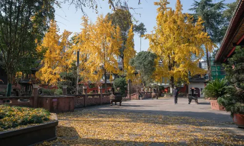 Qing Yang Gong Temple