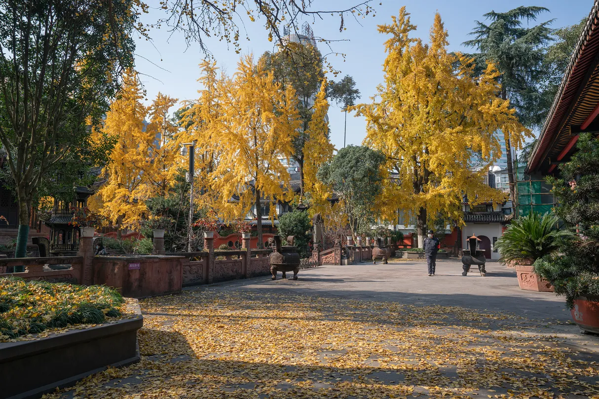 4_Qingyang Taoist Temple