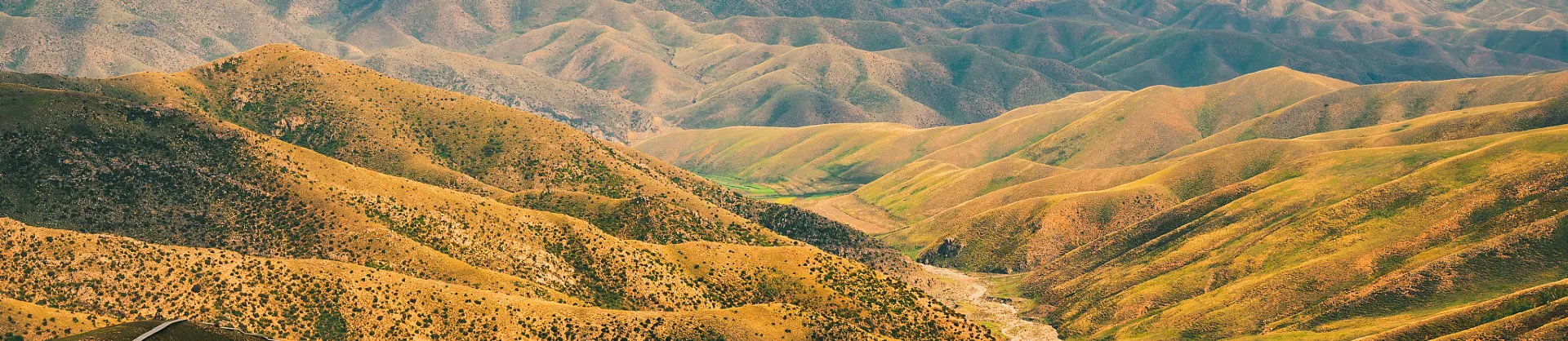 Attrazioni per la visione autunnale