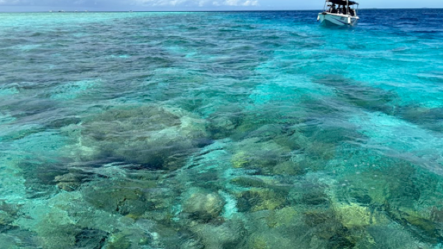 Quality Diving | DFS BORNEO SDN BHD