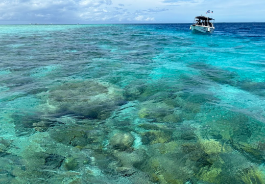 Quality Diving | DFS BORNEO SDN BHD