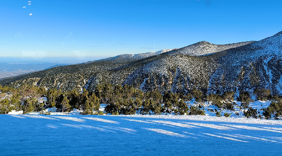 Borovets