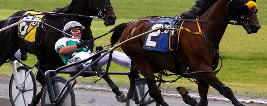 Vernon Downs Racing