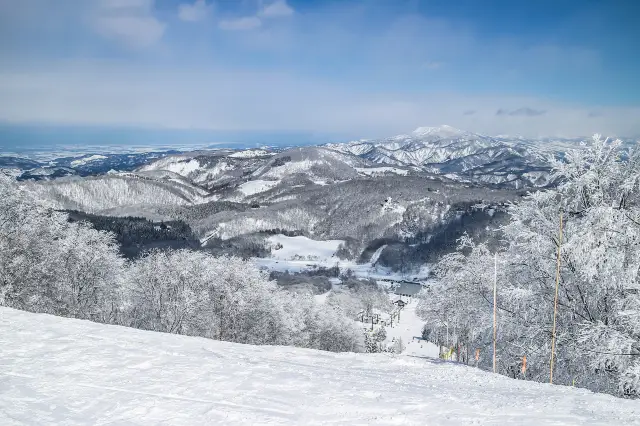新潟縣滑雪