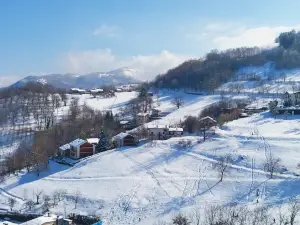 Frabosa Ski 2000 S.P.A.