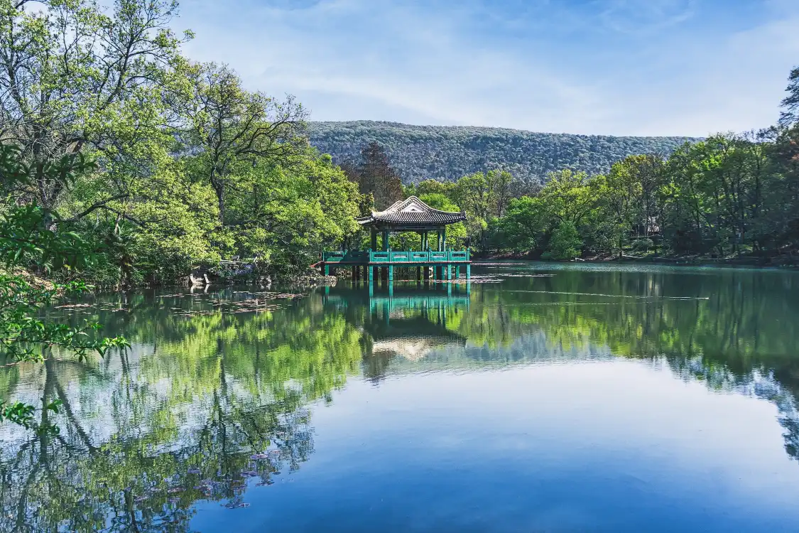 쯔진산 주변 호텔