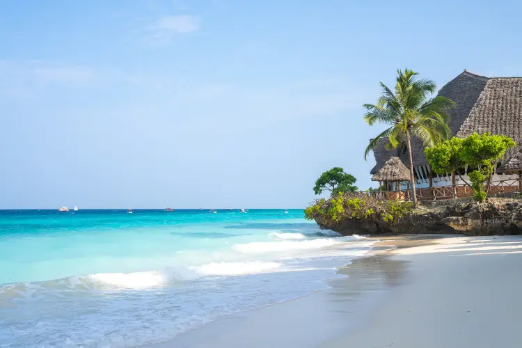 Top 20 Best Things to Do in Tanzania