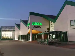 Jucca