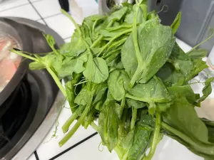 海關葷豆花