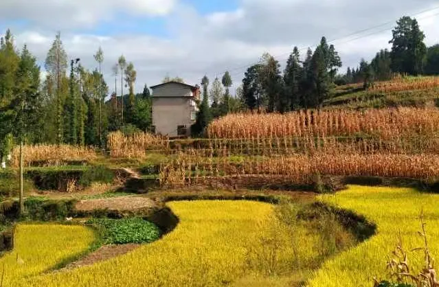 Attrazioni per la visione autunnale