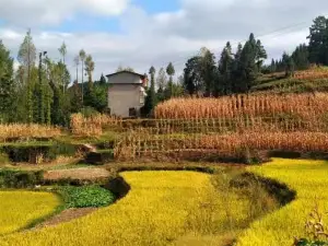 Popular Fall Viewing Attractions in Lichuan