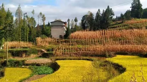 Sumadang Scenic Area attraction in Личуань