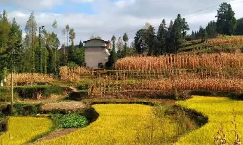 Sumadang