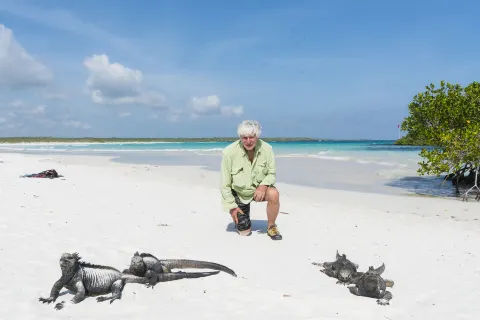 Tortuga Bay
