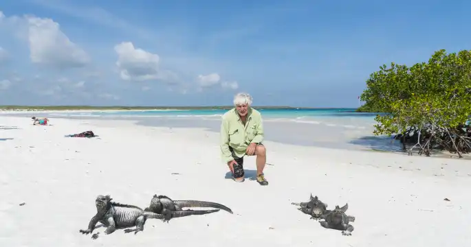 海龜灣海灘附近的飯店