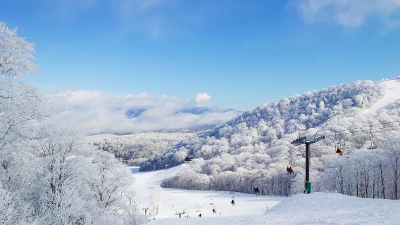 Hoshino Resorts Nekoma Mountain North Area
