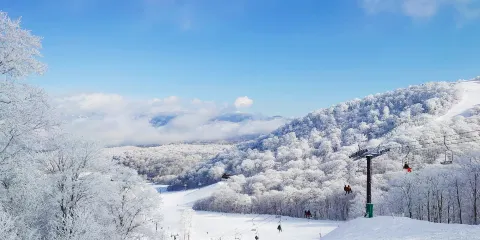 星野渡假村 貓魔滑雪場