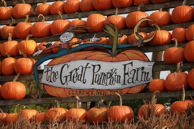 The Great Pumpkin Farm at New York