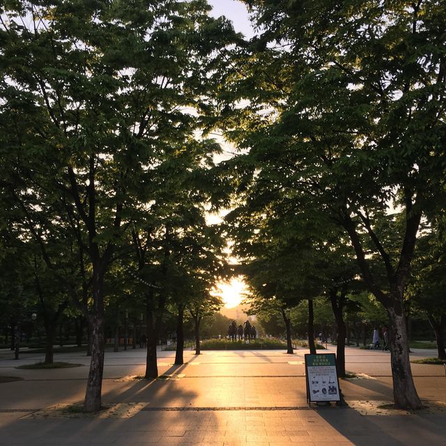 꽃보러 서울숲가자٩꒰｡•◡•｡꒱۶