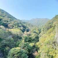 秘景！「猛鬼橋」你去過未？