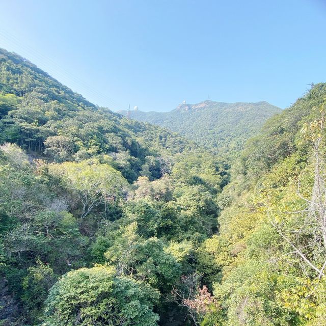 秘景！「猛鬼橋」你去過未？