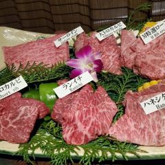 Matsusakagyu Yakiniku M HOZENJI YOKOCHO User Photo