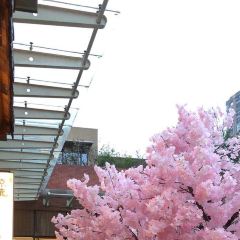 京鹿料理(河西王府井店) User Photo