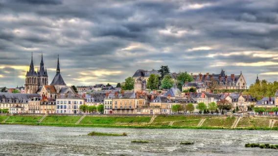 Loire Valley Castle one-day tour[Round-trip from Paris with Optional Audio Guide]