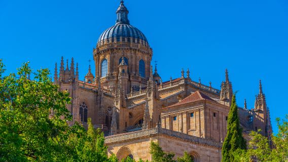 Salamanca Cathedral