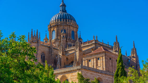 Nouvelle cathédrale de Salamanque