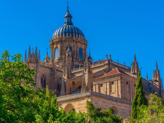 Salamanca Cathedral