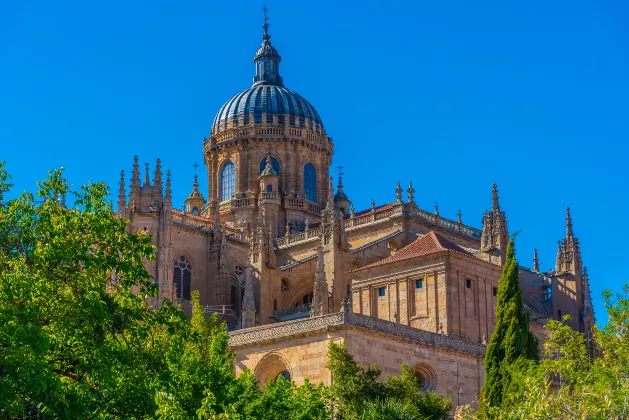 Flights from Madrid to Salamanca