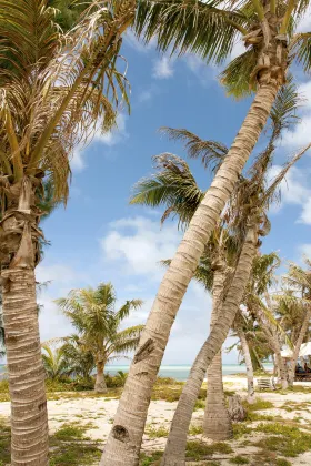 Vé máy bay Kalibo Palma De Mallorca