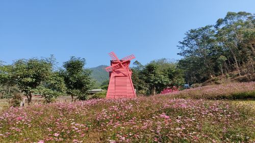 Dongfangshu Rose Garden