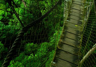 Xishuangbanna Tropical Rainforest Nature Reserve