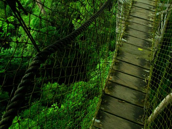 Xishuangbanna Tropical Rainforest Nature Reserve