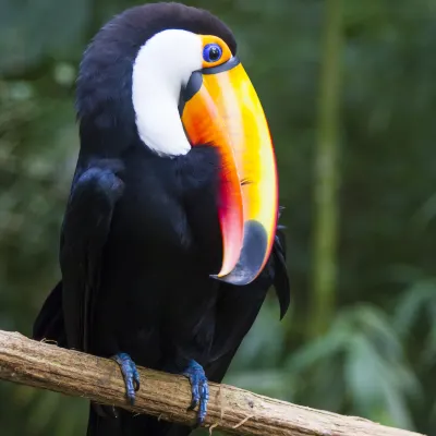 ホテル ダス カタラタス ベルモンド ホテル，イグアス フォールズ